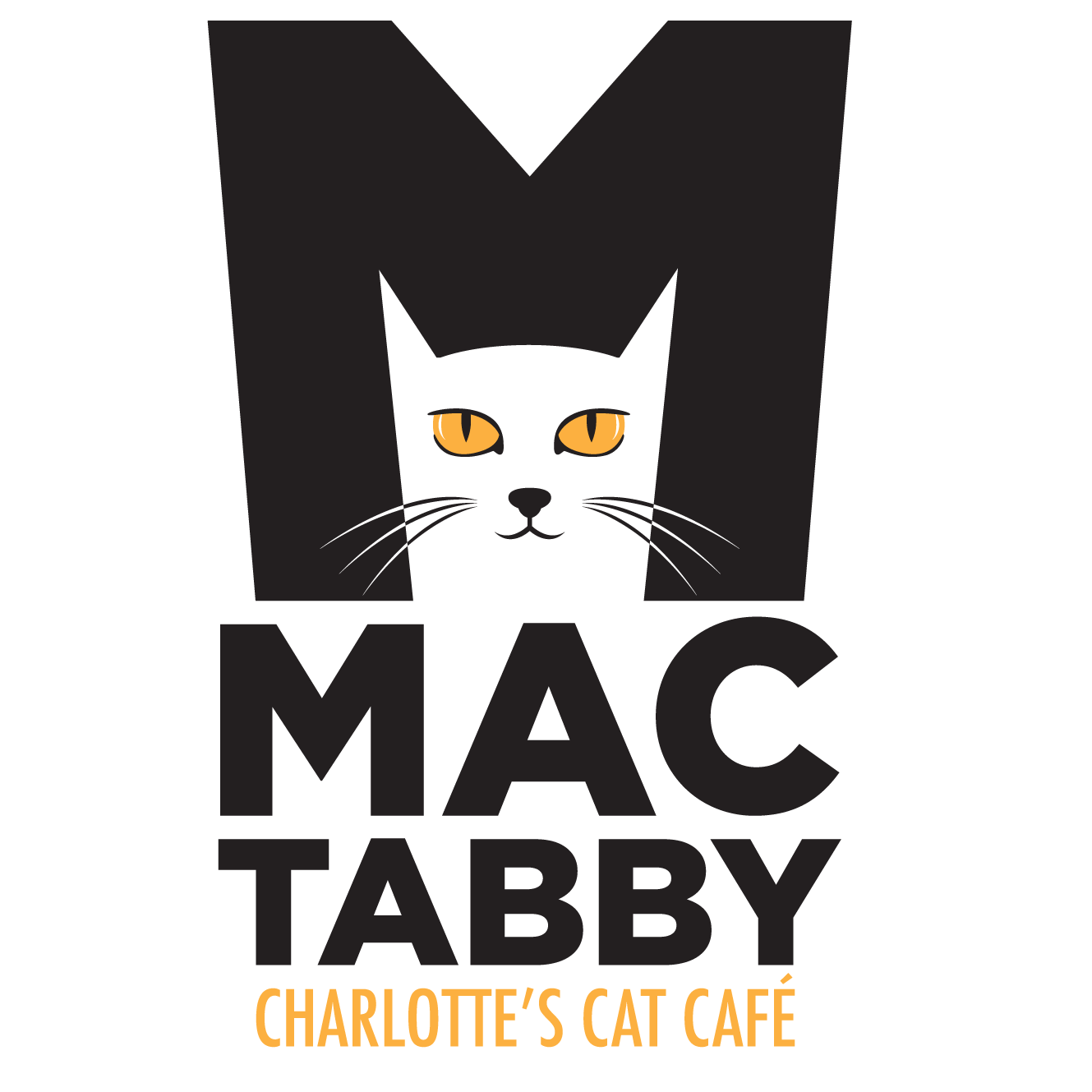 Mac Tabby Cat Cafe