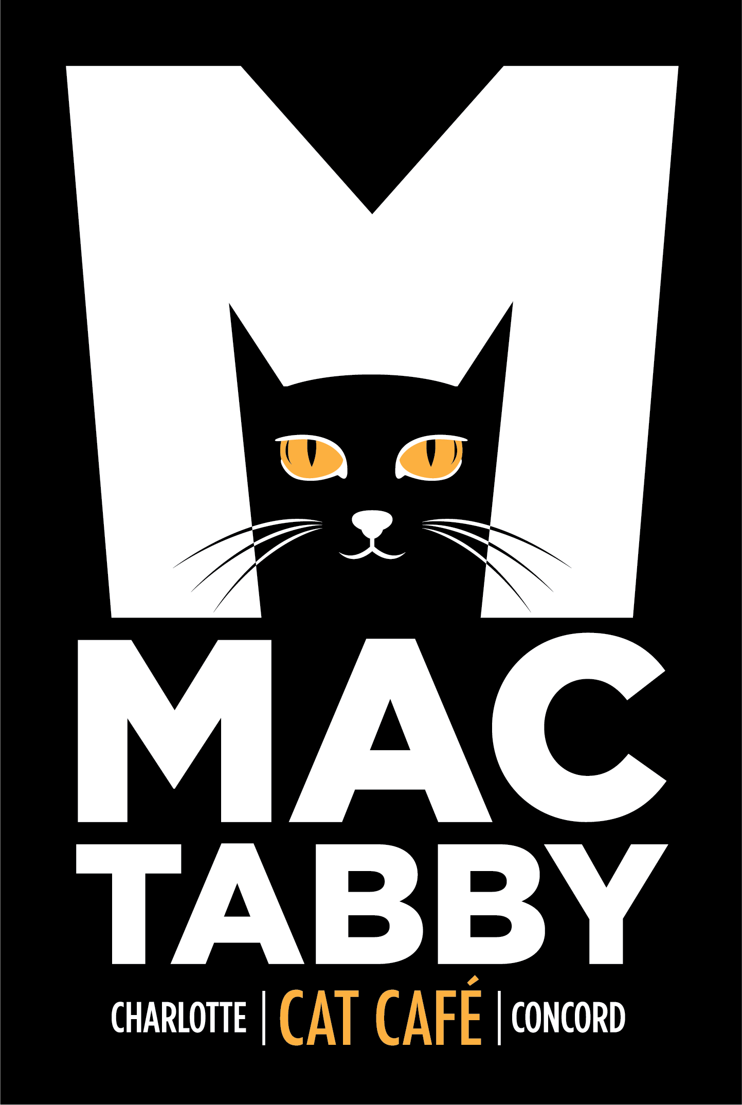 Mac Tabby Cat Cafe