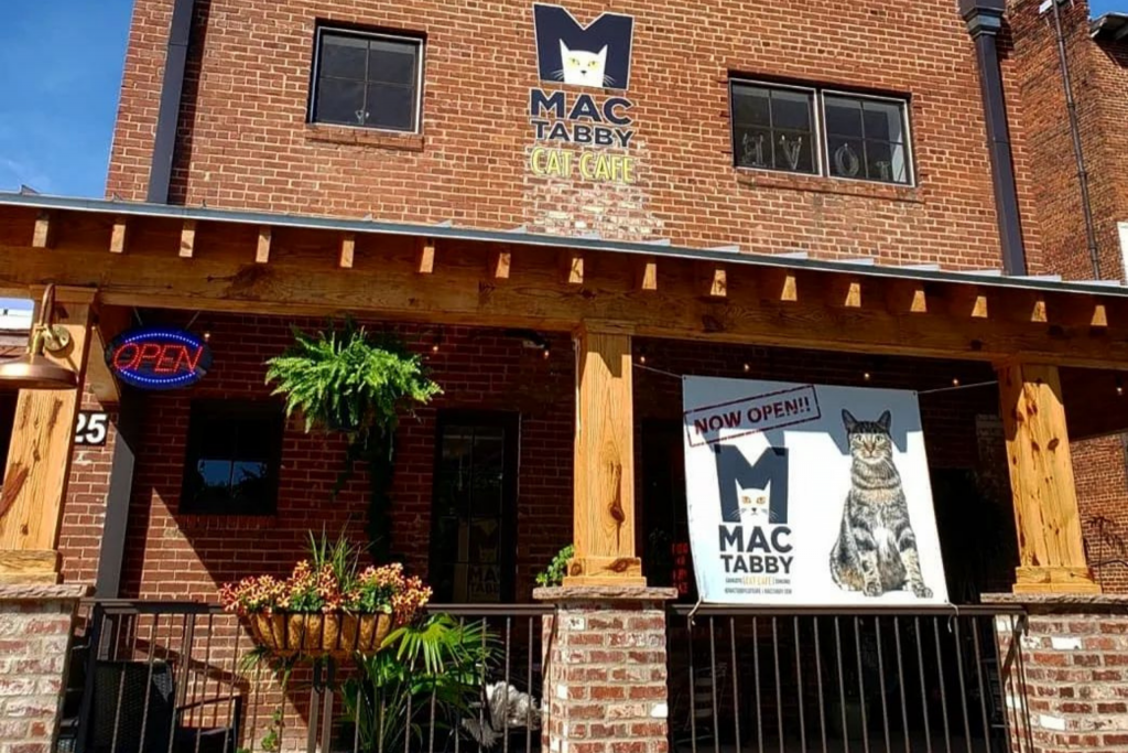 Attractions Concord Downtown